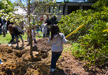 Community members planting trees